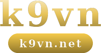 k9vn logo